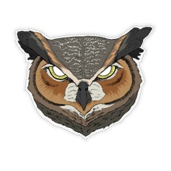 MASQUE CARTONNE HIBOU