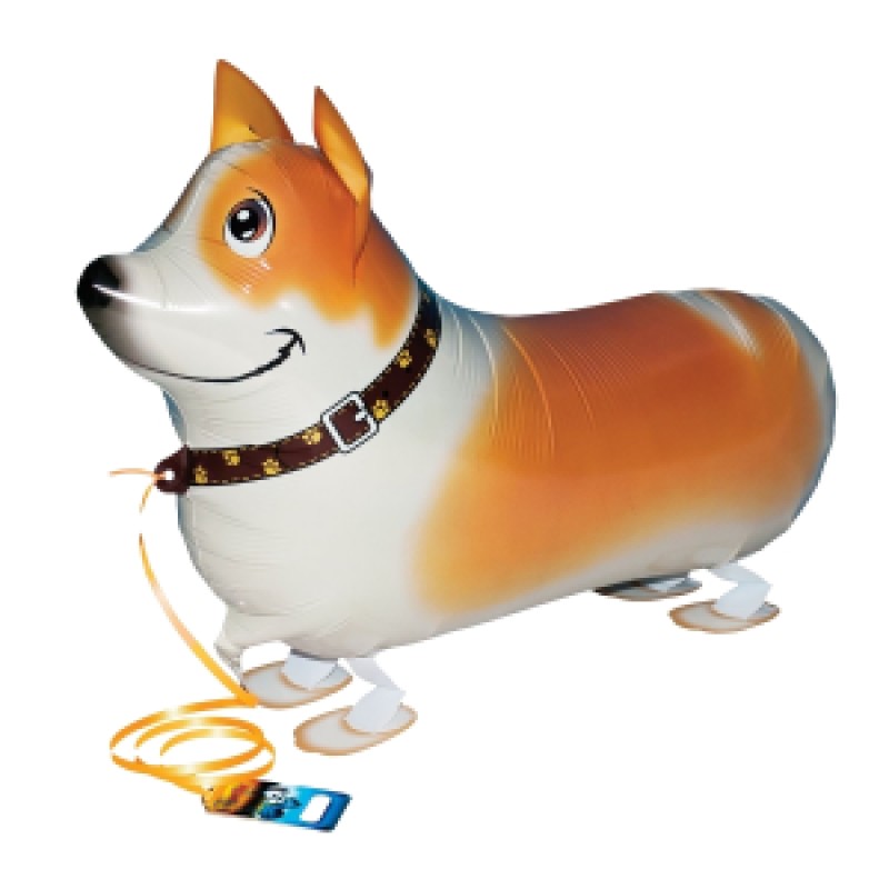 BALLON MARCHEUR AIRWALKER CHIEN CORGI