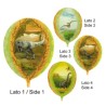 BALLON GLOBE IMPRIME 4 FACES DINAUSORES 14"