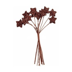 12 BRANCHES ETOILES CHOCOLAT