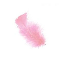 20 PLUMES PIED DE POULE ROSE CLAIR