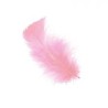 20 PLUMES PIED DE POULE ROSE CLAIR