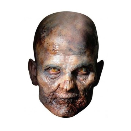 MASQUE CARTON ADULTE RAISIN ZOMBIE THE WALKING DEAD