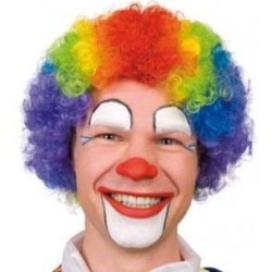 PERRUQUE CLOWN MULTICOLORE