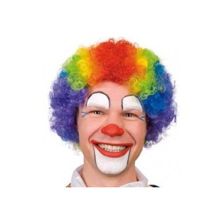 PERRUQUE CLOWN MULTICOLORE