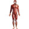 DEGUISEMENT COLLE A LA PEAU ANATOMIE MAN + MASQUE LATEX TAILLE L DEGUISEMENT COLLE A LA PEAU ANATOMIE MAN + MASQUE LATEX TAILLE L