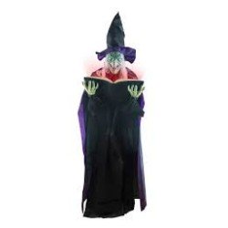 DECORATION HALLOWEEN SORCIERE AVEC LIVRE