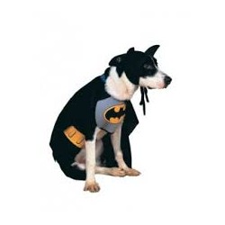 DEGUISEMENT POUR CHIEN BATMAN TAILLE M