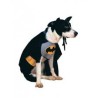 DEGUISEMENT POUR CHIEN BATMAN TAILLE M