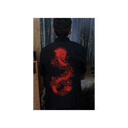 DEGUISEMENT TRADITIONEL ASIE DRAGON  TAILLE L