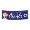 BANNIERE DE FACADE POLYESTER ALLEZ FRANCE 74 X 220 CM