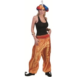 DEGUISEMENT PANTALON ARABE FEMME TAILLE UNIQUE