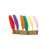 BANDEAU INDIEN 6 PLUMES