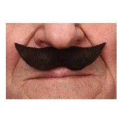 MOUSTACHE AVEC POINTE 