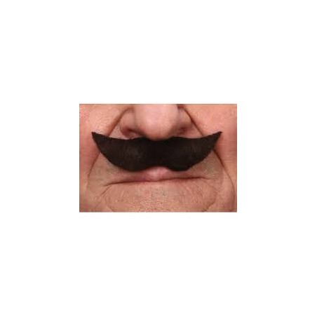 MOUSTACHE AVEC POINTE 