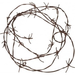 FAUX BARBELE EN CORDE 3.70 METRES