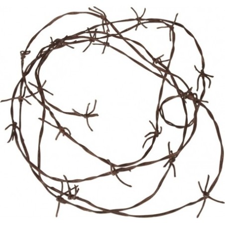 FAUX BARBELE EN CORDE 3.70 METRES