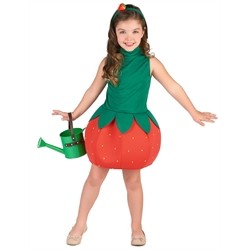 DEGUISEMENT  ROBE FRAISE TAILLE M  7-9 ANS 