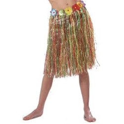 JUPE HAWAIENNE MULTICOLORE 