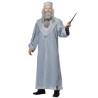 DEGUISEMENT DUMBLEDOR TAILLE S