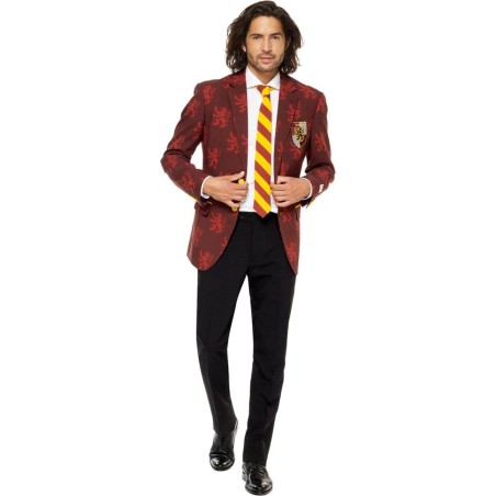 DEGUISEMENT OPPOSUITS HARRY POTTER TAILLE 54