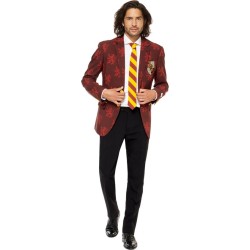 DEGUISEMENT OPPOSUITS HARRY POTTER TAILLE 46