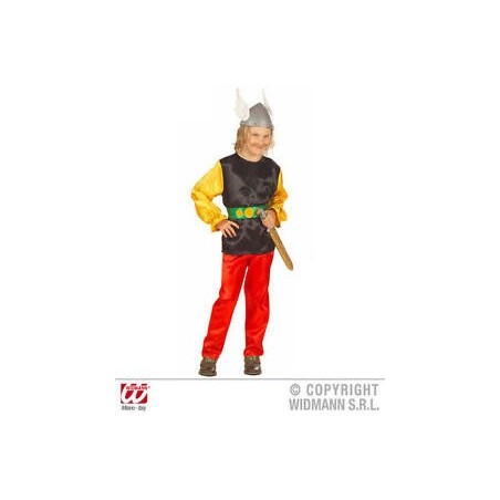 DEGUISEMENT GAULOIS ASTERIX TAILLE L 158 CM 