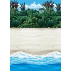 SCENE DECORATIVE PLAGE 1.2 M X 12 M