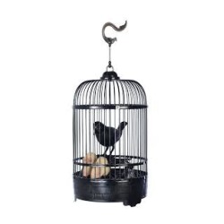 CORBEAU EN CAGE HALLOWEEN SON ET LUMIERE HAUTEUR 35 CM