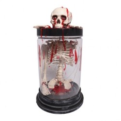 SQUELETTE GUIRLANDE LUMINEUSE SOUS VERRE LUMINEUX