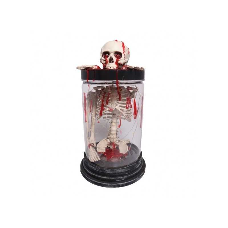 SQUELETTE GUIRLANDE LUMINEUSE SOUS VERRE LUMINEUX 