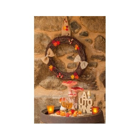 SACHET 8 FEUILLES AUTOMNE SUR PINCE 