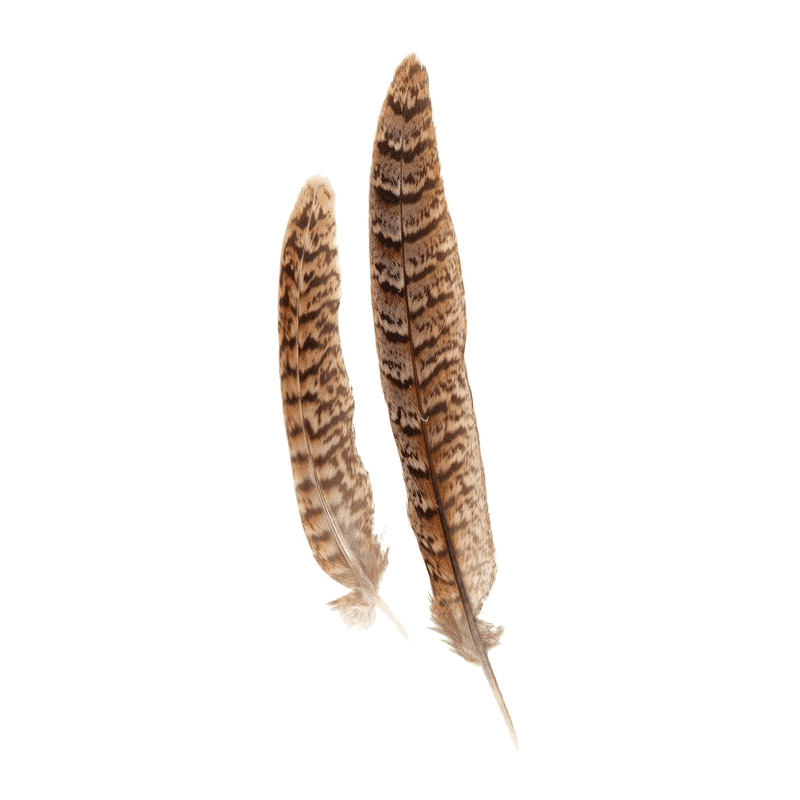 PLUMES NATUREL 16 CM