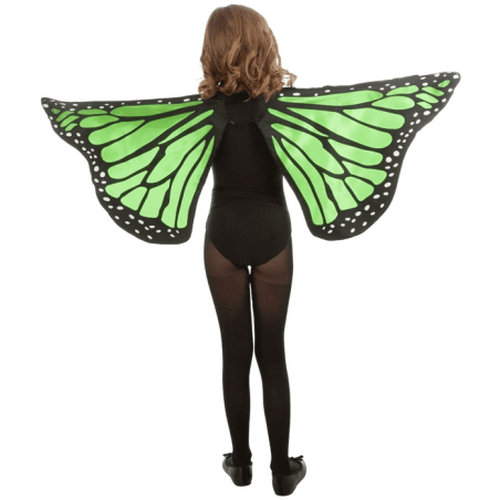 AILES PAPILLON VERT ENFANT 