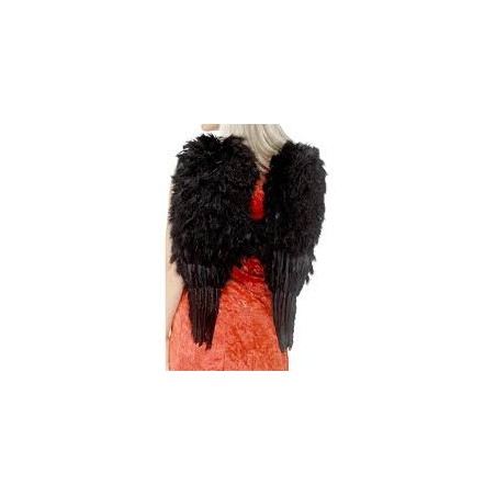 AILES PLUMES  NOIRES 65 X 65 CM 