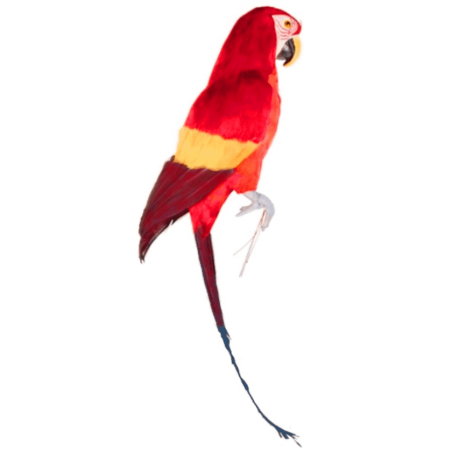 PERROQUET A FIXER 70 CM