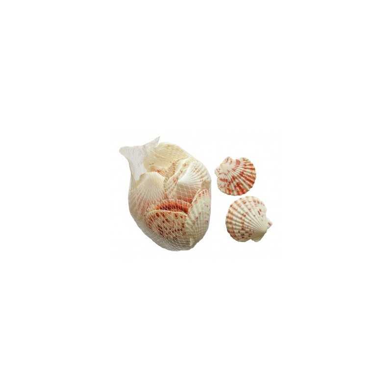 FILET 150G COQUILLAGES SAINT JACQUES