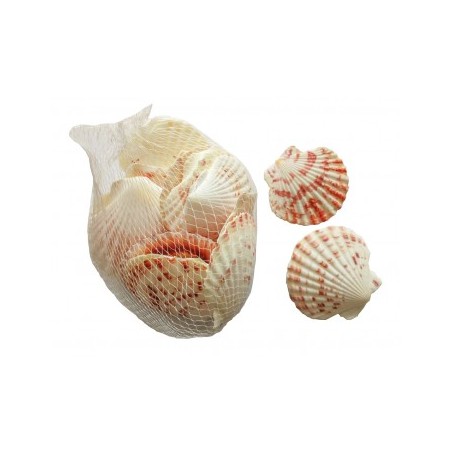 FILET 150G COQUILLAGES SAINT JACQUES