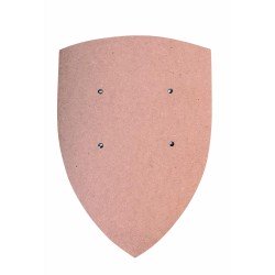 PETIT BOUCLIER SANS COULEUR COURBE 27 X 37 CM 