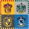 16 SERVIETTES HARRY POTTER 25 X 25 CM