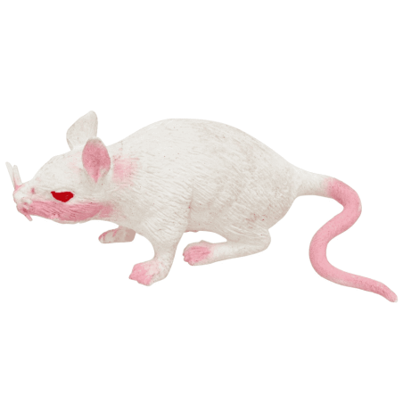 RAT BLANC STRETCH 16.5 X 3.5 X 5 CM 