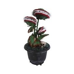 PLANTE CARNIVORE ANIMEE, SONORE ET LUMINEUSE 36 CM 
