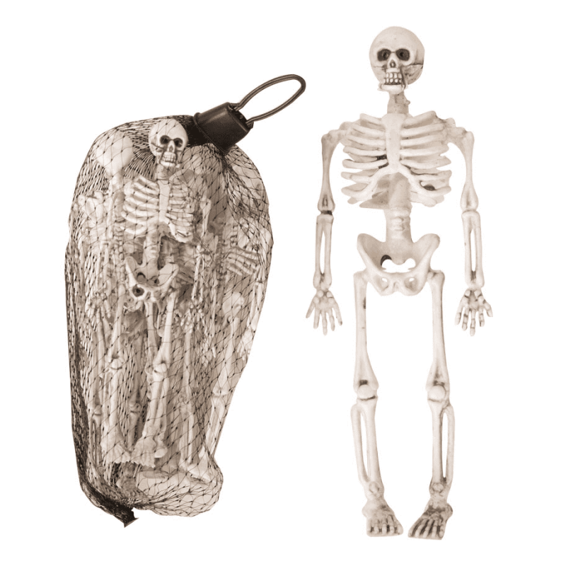 MINI SQUELETTE PAR 6