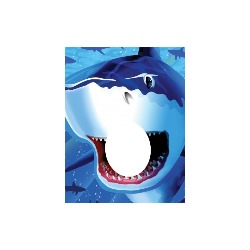 STAND PHOTO REQUIN  STAND PHOTO REQUIN