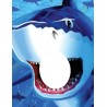 STAND PHOTO REQUIN  STAND PHOTO REQUIN