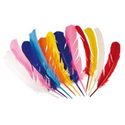 12 PLUMES INDIEN MULTICOLORES 30 CM