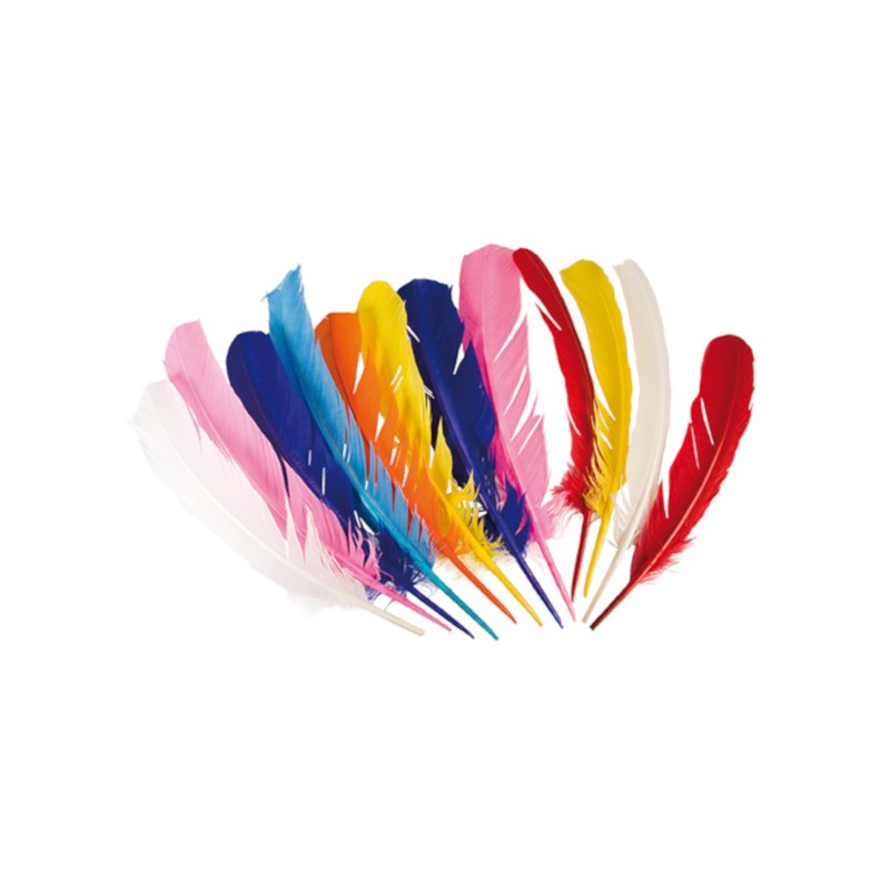 12 PLUMES INDIEN MULTICOLORES 30 CM