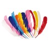 12 PLUMES INDIEN MULTICOLORES 30 CM