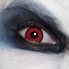 LENTILLES HEBDOMADAIRES ROUGE MANSON LENTILLES HEBDOMADAIRES ROUGE MANSON