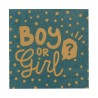 20 SERVIETTES BABY SHOWER BOY OR GIRL 33 X 33 CM